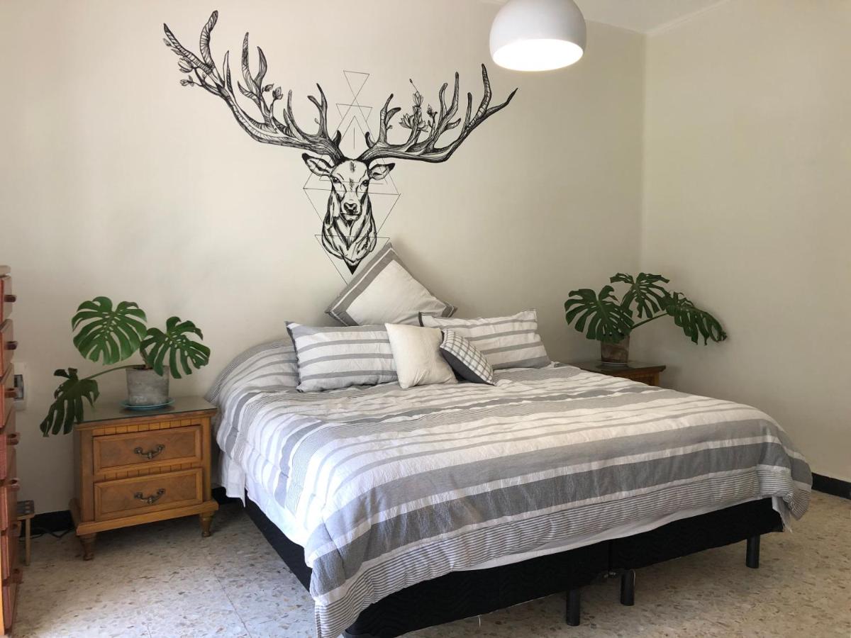 Casa Amores - Housity