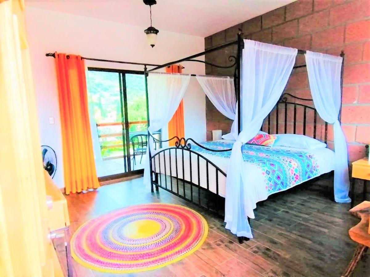 Hotel Boutique Jardín de Flores - Housity