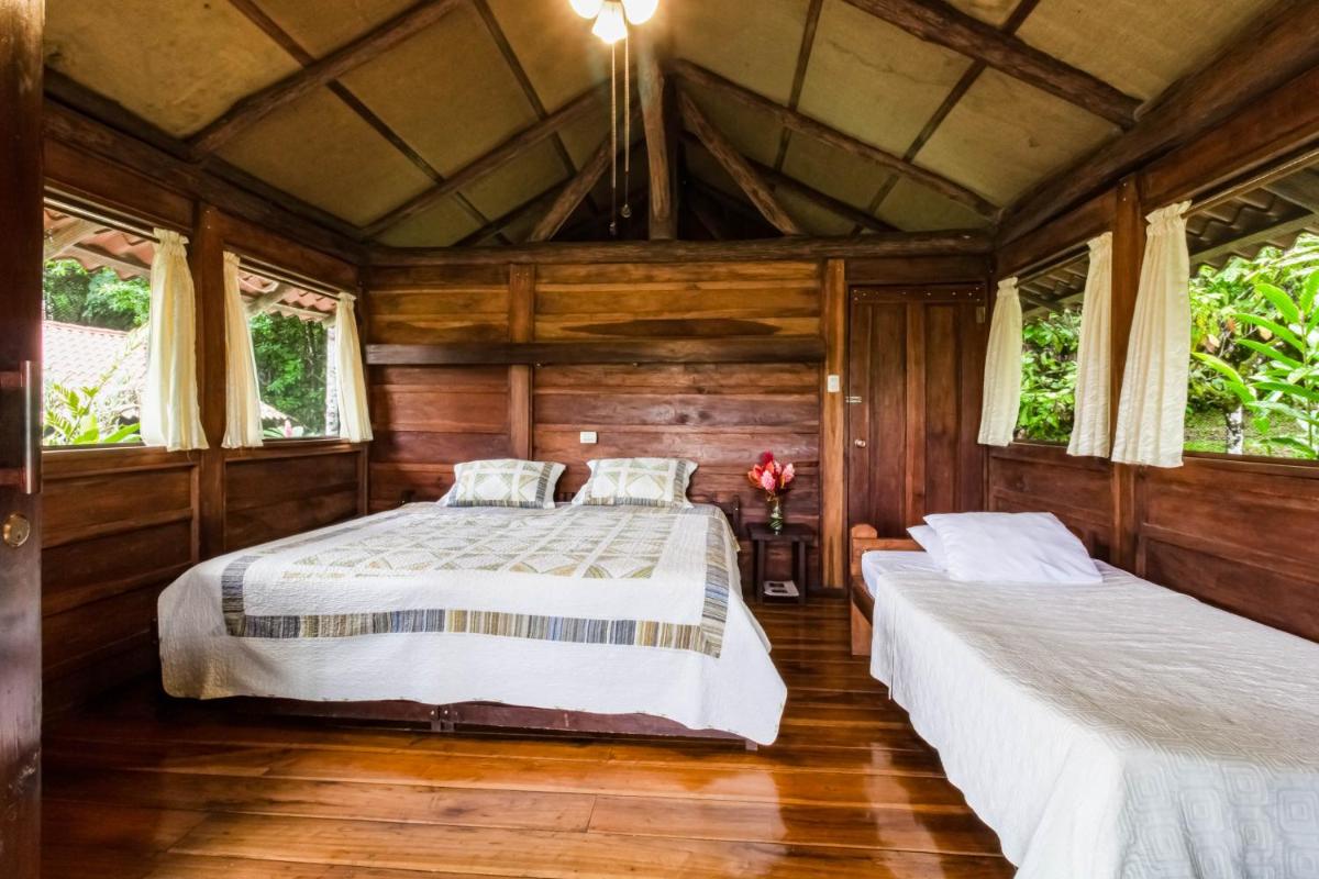 La Anita Rain Forest - Housity