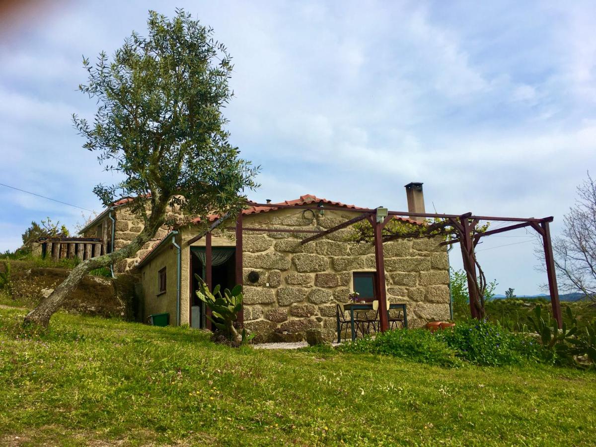Quinta do Sobral de São Geraldo - Housity
