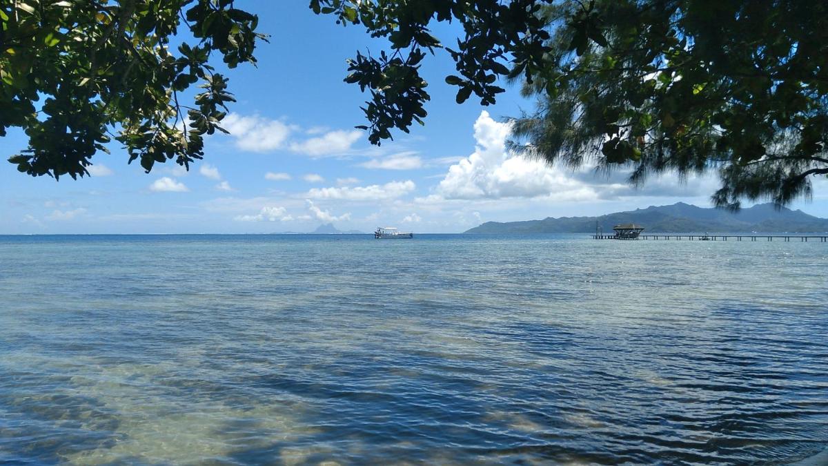 Bungalow blue lagon waterfront - Housity