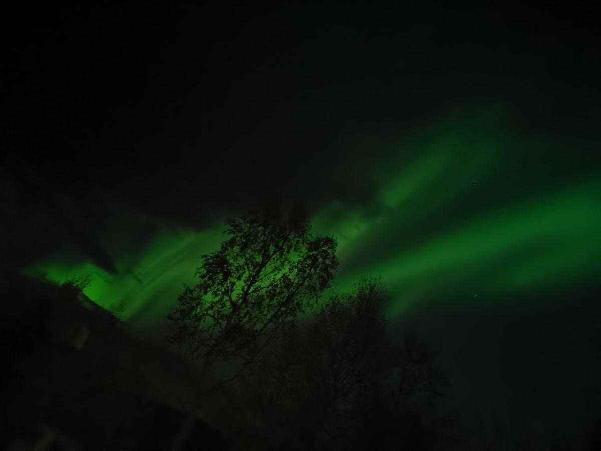 Kongsfjord Paradise Holiday - Housity