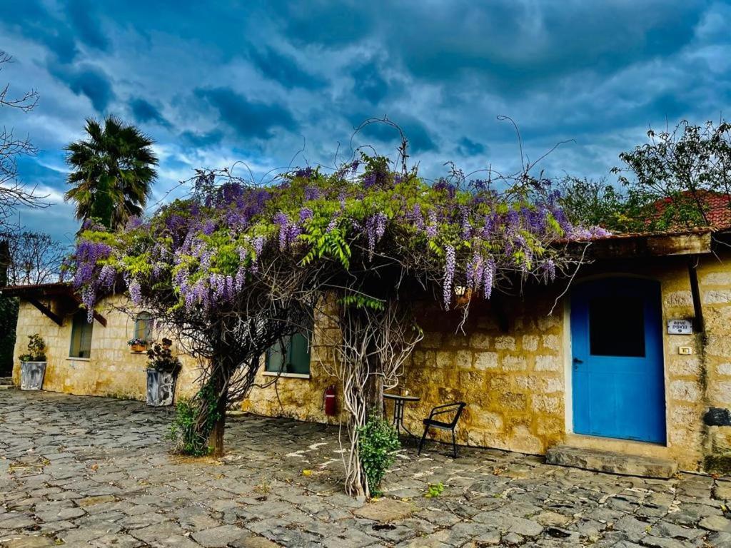 THE MANSION in yesod hamaala - Housity