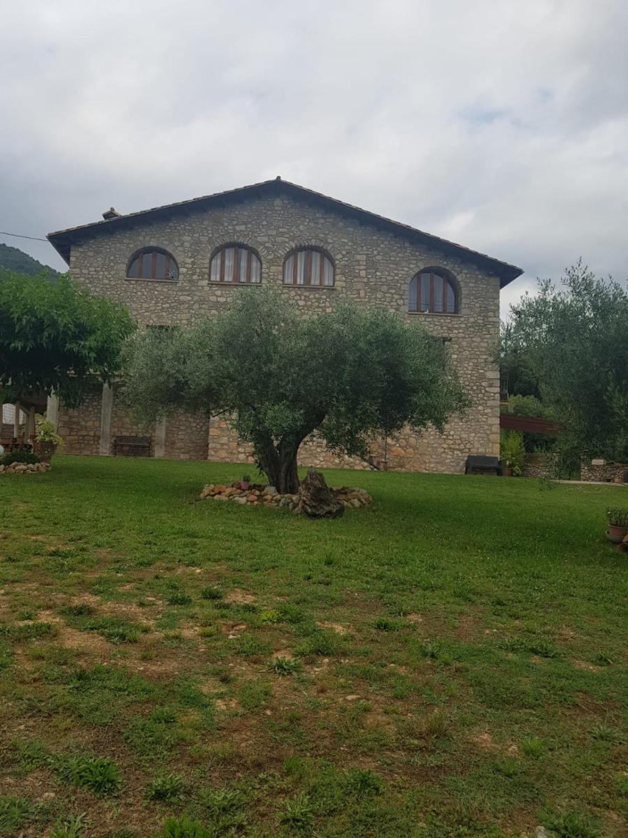 Allotjatments Can Servosa - Housity