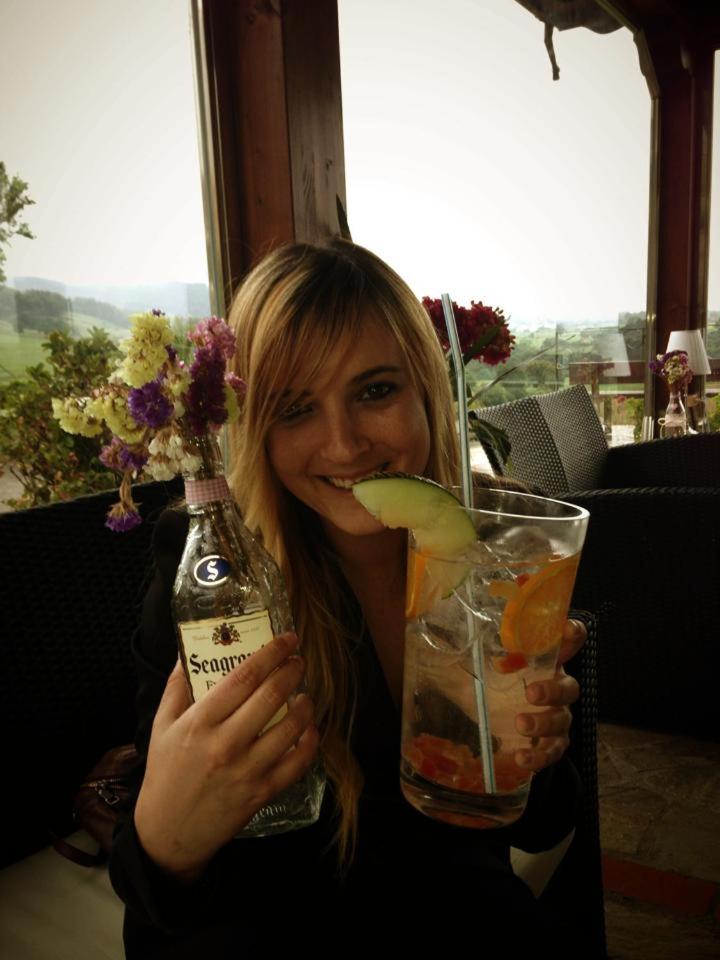 Bebidas en Hotel "Posada de Cantabria EL SOLAR" -Cenas típicas y Gintonic- Bar -Terraza panorámica