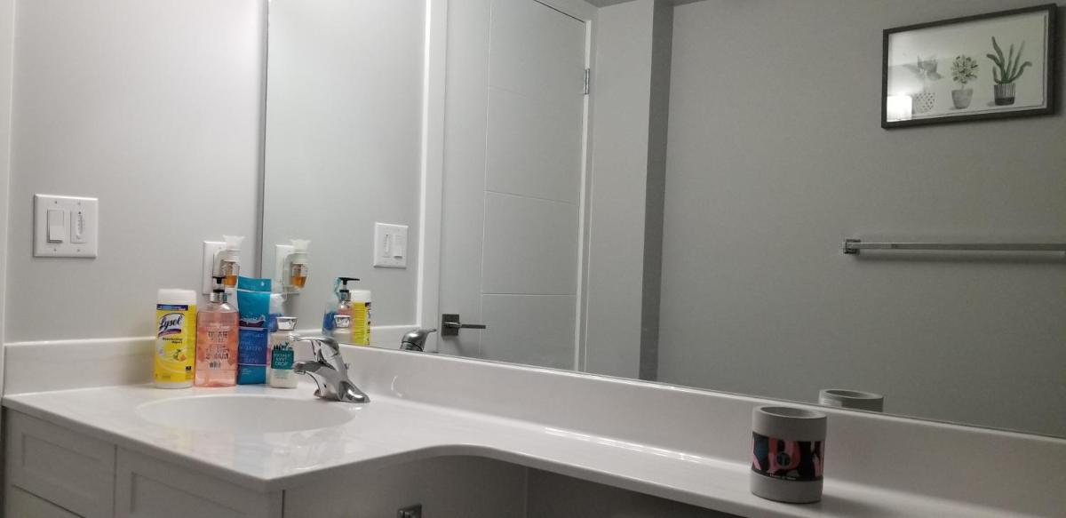 Luxurious 2 bedroom basement suite - Housity