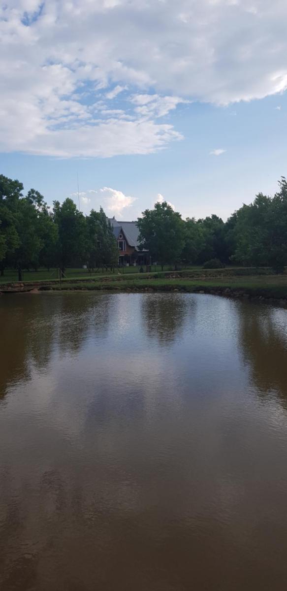 Millstream Inn guest house - Housity