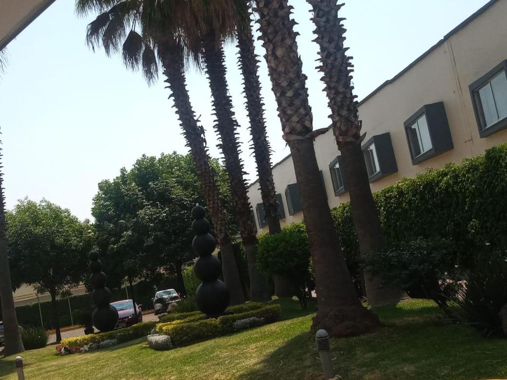 Hotel Tlahuac - Housity