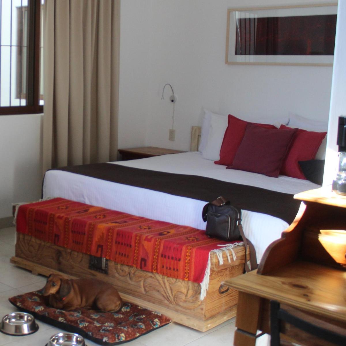 La Cochinilla Hotel Boutique - Housity