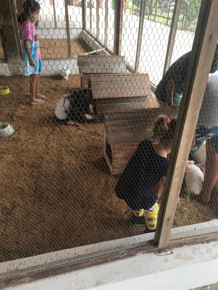 Flat na Fazenda Monte Castelo Gravatá - Housity