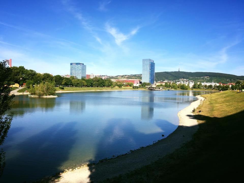 Apartmán Ginko I - Housity