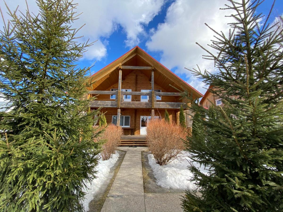 Holiday park krivtsovo - Housity