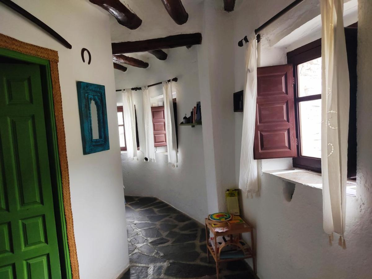 La Maestra - Housity