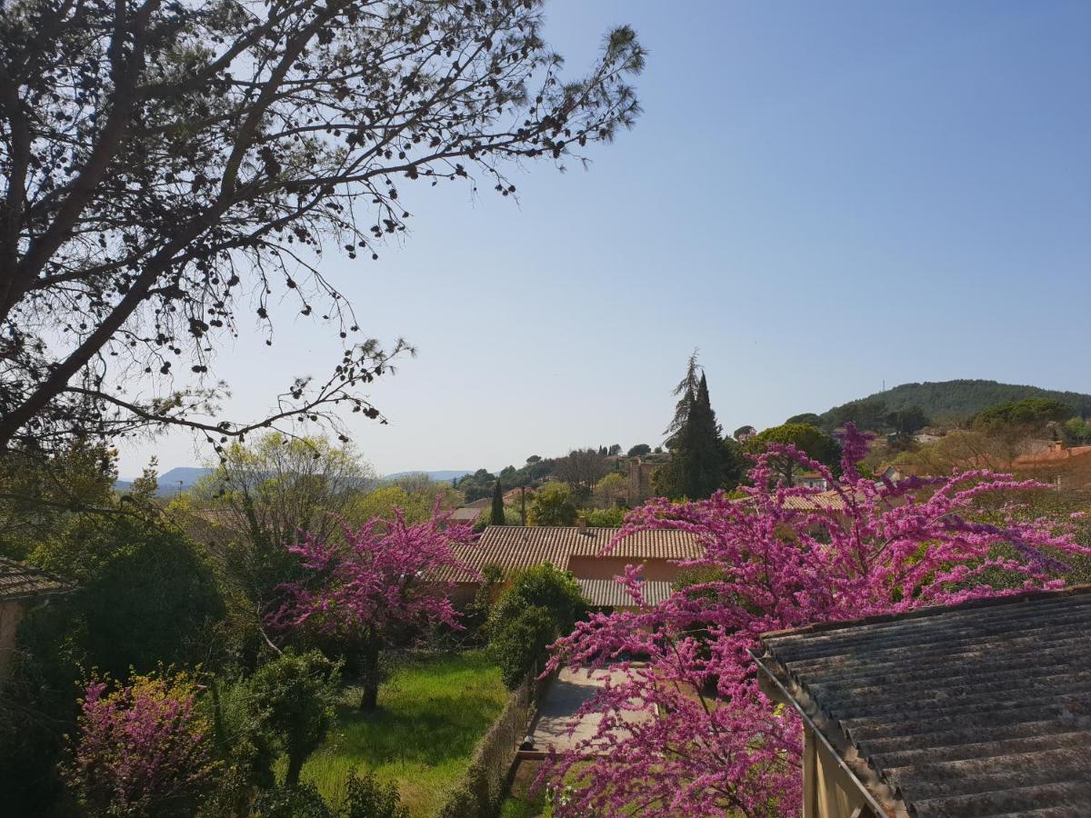 Appartement climatisé les Mimosas - Housity