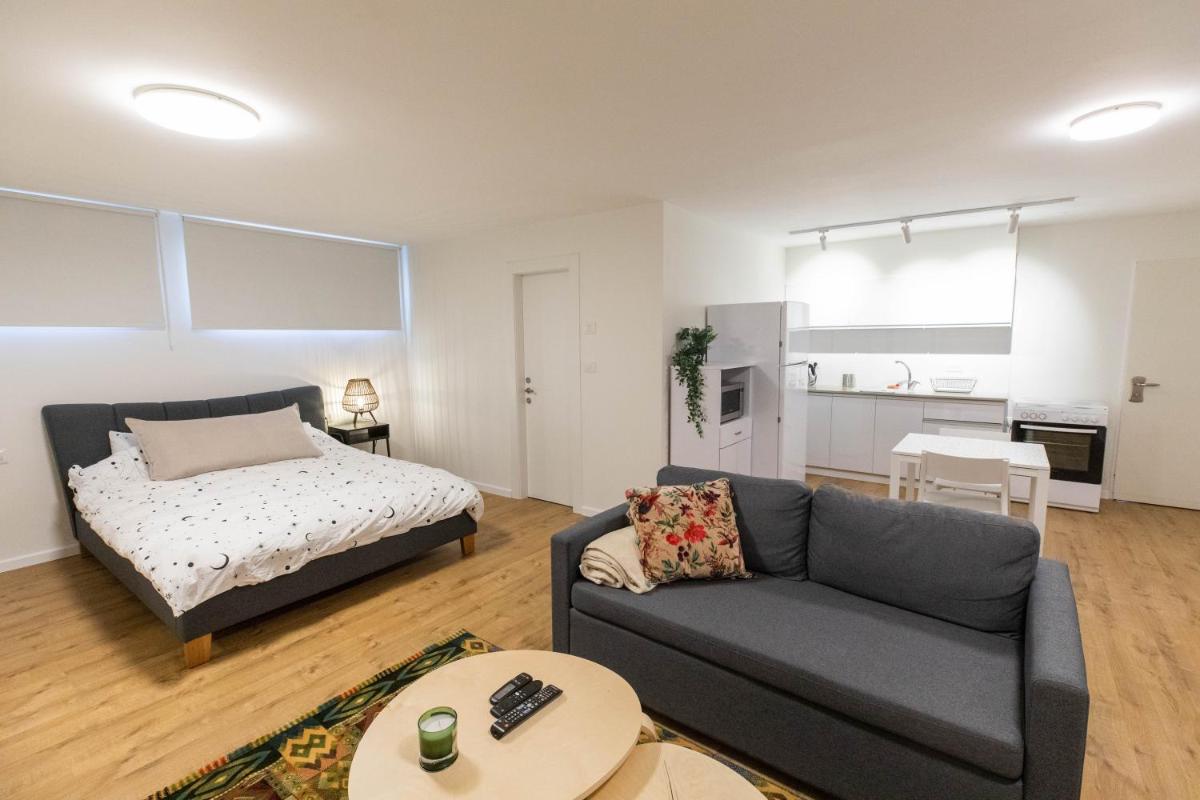 Sheba-Shik apartment, Tel hashomer שיבא-שיק, תל השומר,דירת סטודיו מקסימה! - Housity