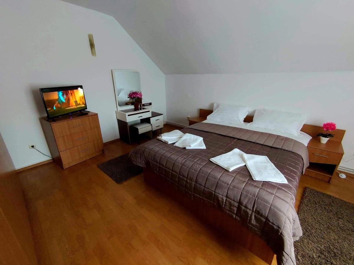 Casa Lalelelor - Housity