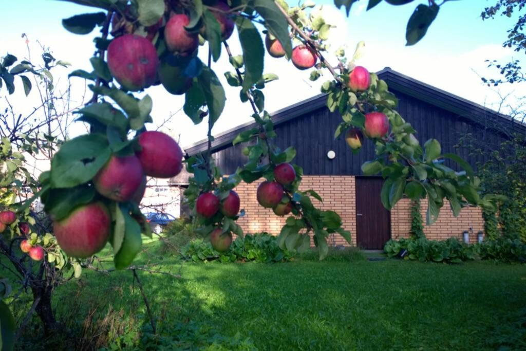 Farmhouse and Lakeside Cottage - Relax in Nature - Housity