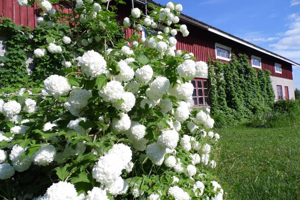 Farmhouse and Lakeside Cottage - Relax in Nature - Housity