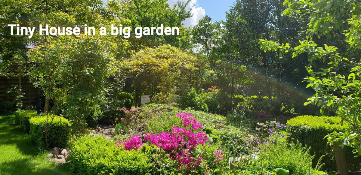 GUESTHOUSE vakantiehuis in een mooie tuin in het centrum van Zuidlaren! - Housity