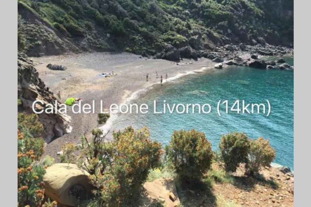 Marina Appartamento Livorno centro - Housity