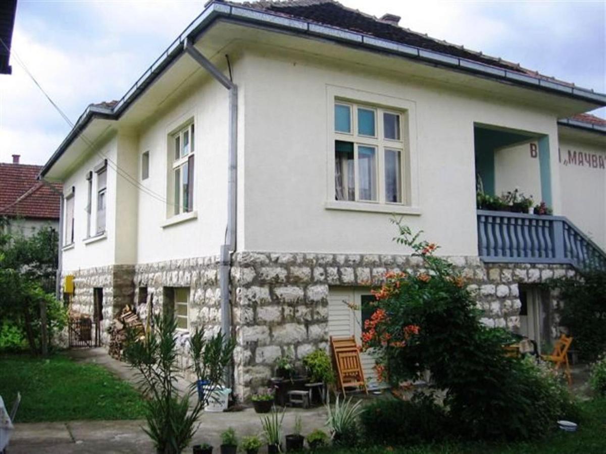 Apartments and rooms Villa Mačva - Banja Koviljača - Housity