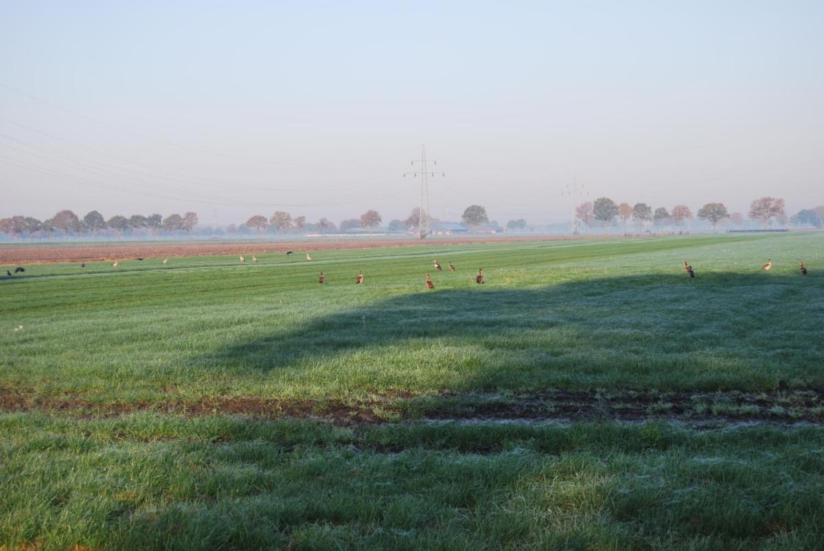 Hoeve de Heemser Parel - Housity