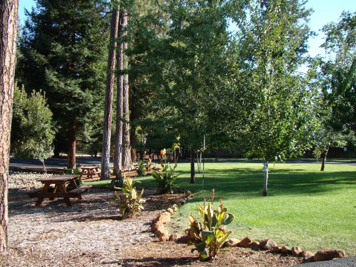 Ponderosa Gardens Motel - Housity