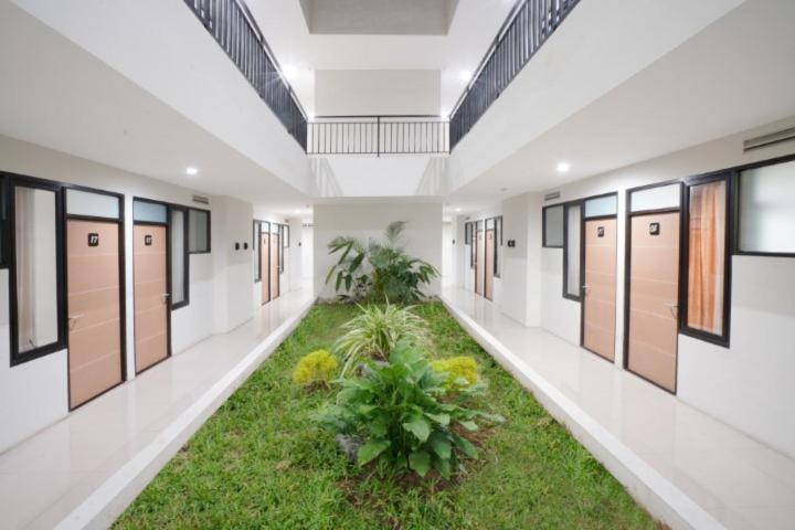 DParagon Veteran - Housity