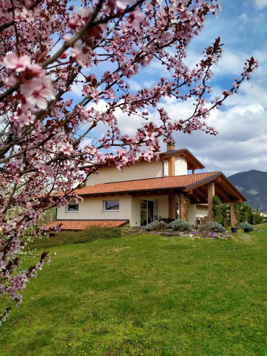 Timo e Rosmarino - Housity