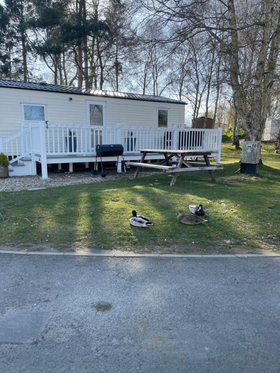 Suitetrails - Holiday Home Breaks At Tattershall Lakes