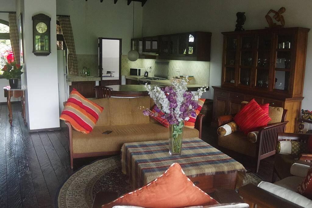 Entire Family Villa with Huge Garden and Swimming Pool - Housity
