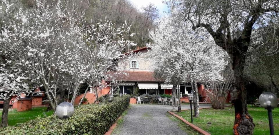 Gli Ulivi Bed & breakfast - Housity