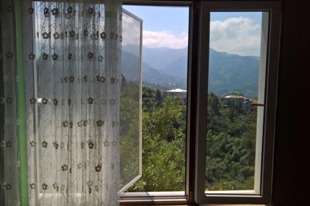 SUNLINE VILLA NEAR BATUMI - Housity