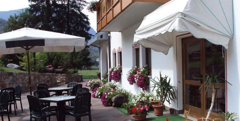Hotel Pineta - Housity