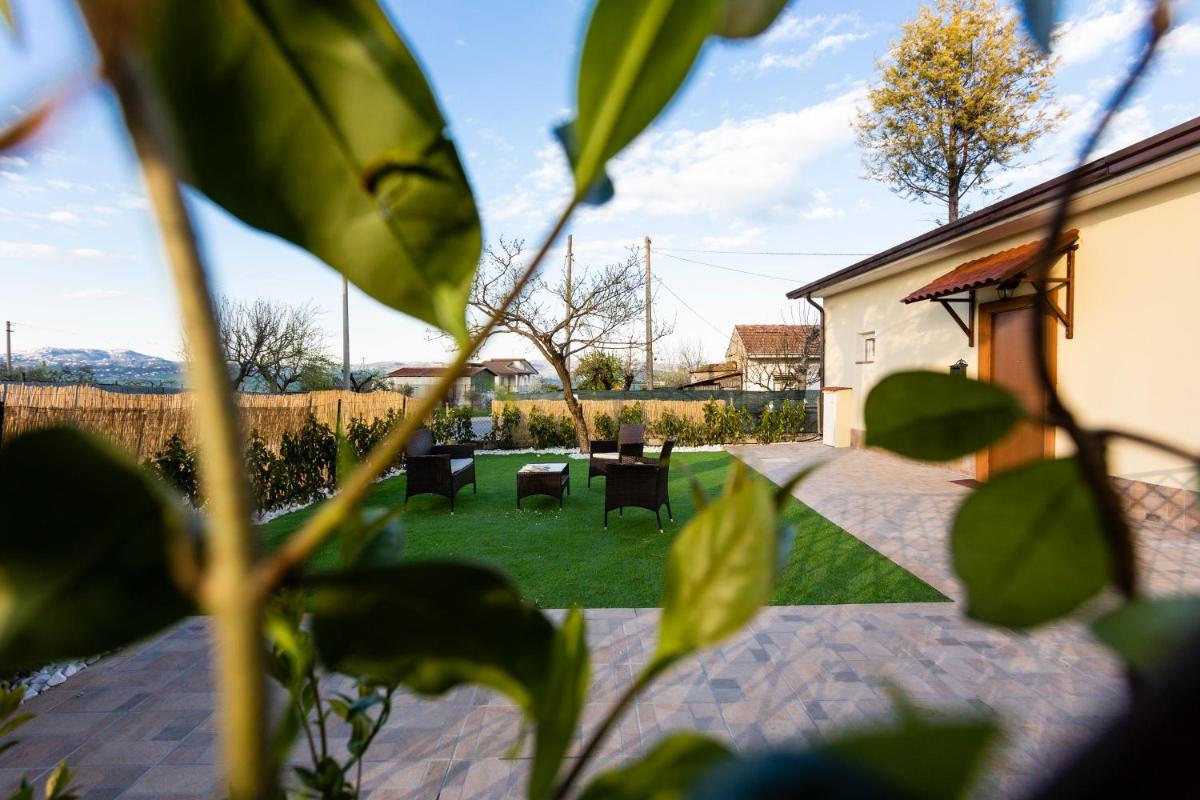All'ombra del pino - Housity