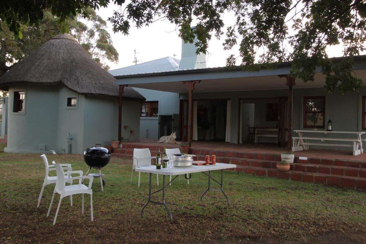 Brakkies the Country dog Escape - Housity