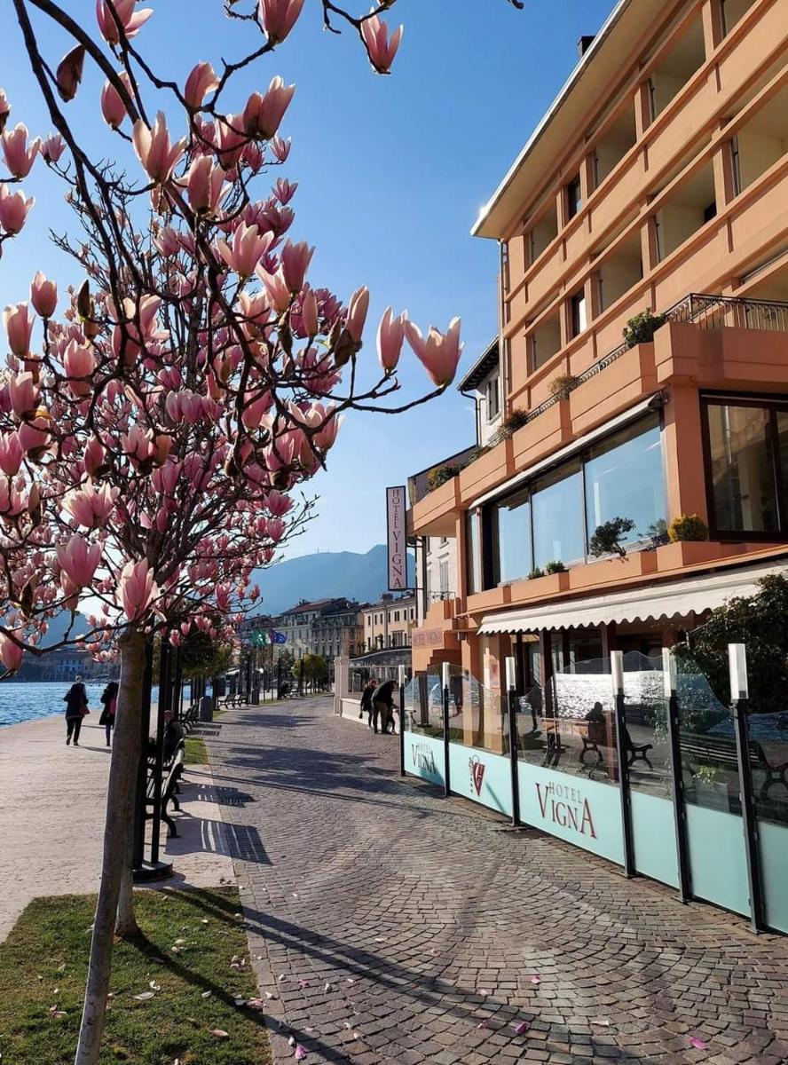 Hotel Vigna - Hizvo