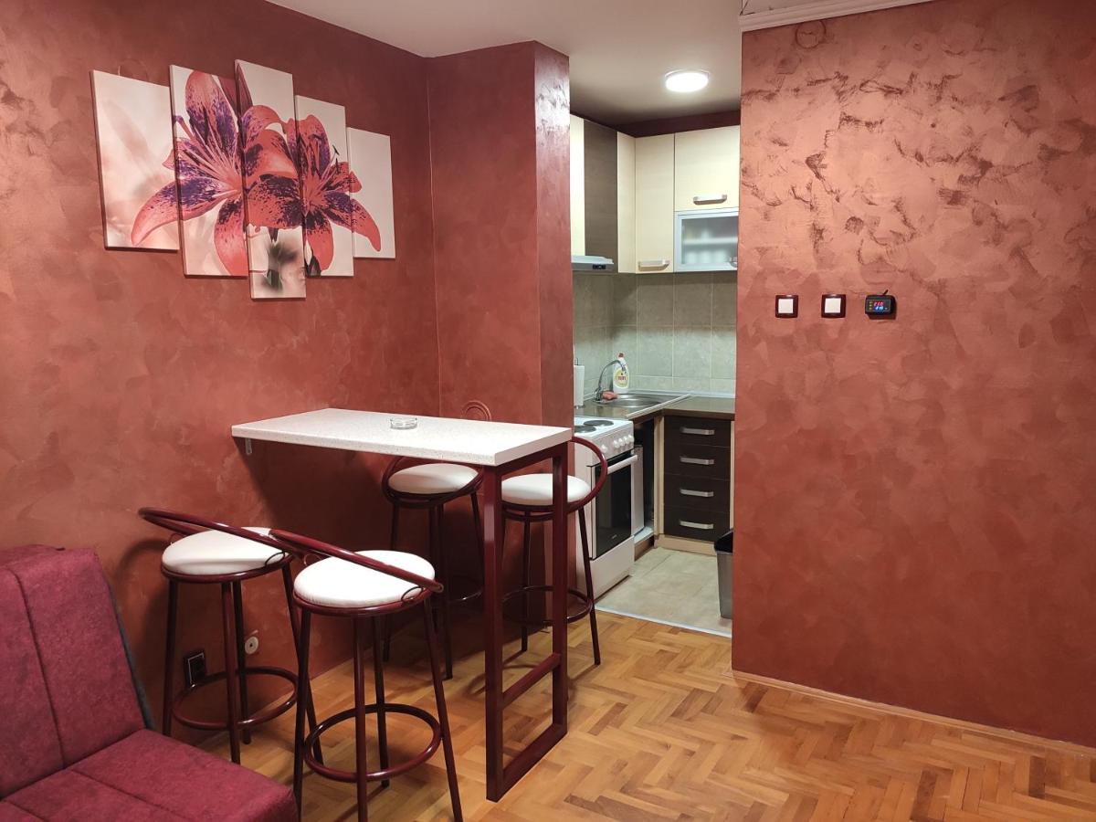 Modern cozy apartment - Housity