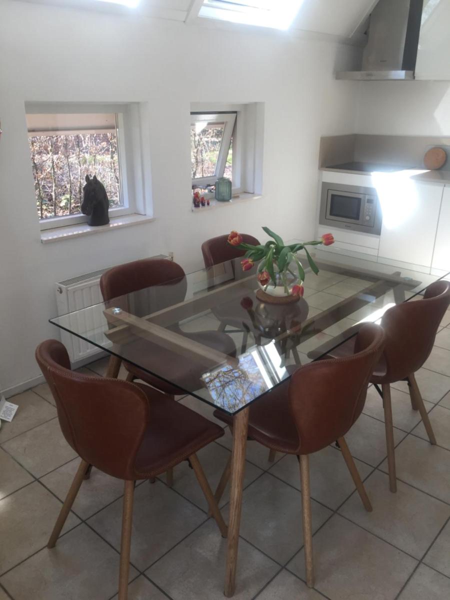 Guesthouse "Cosmea" - Housity