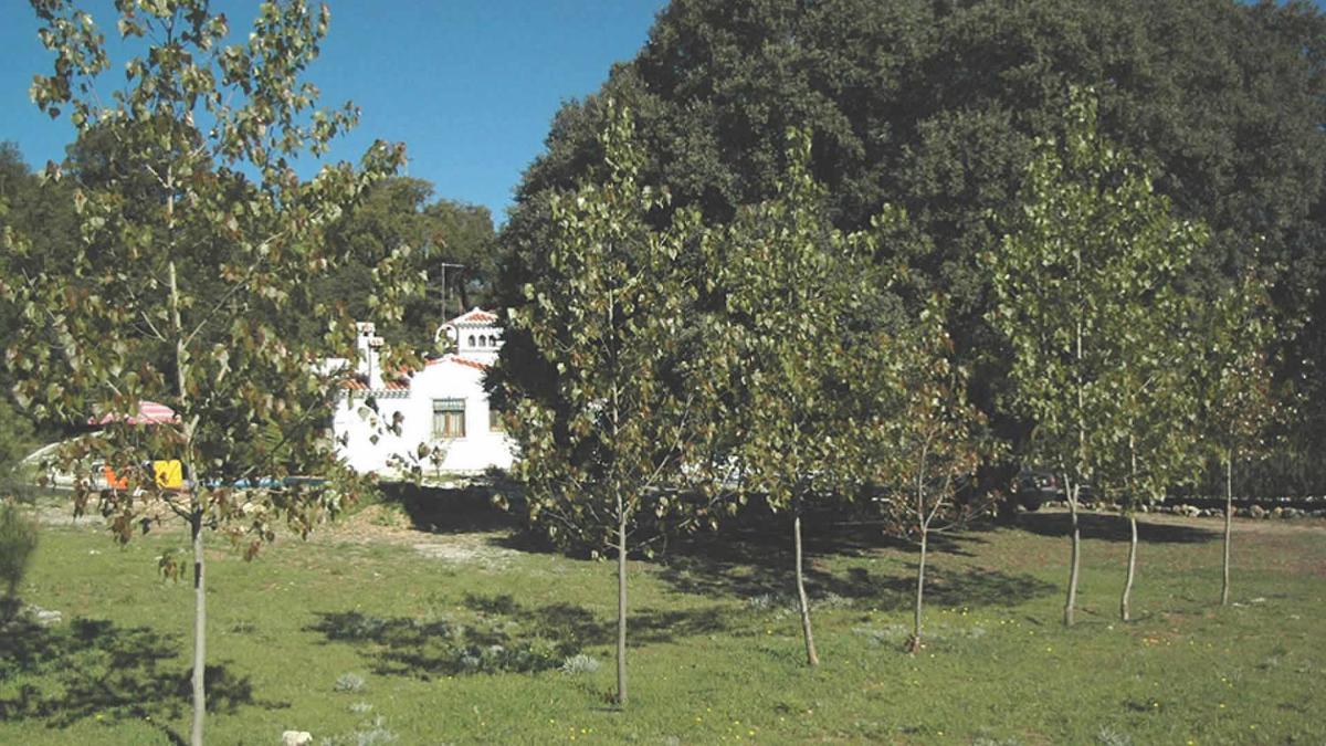 Granada 003 - Housity