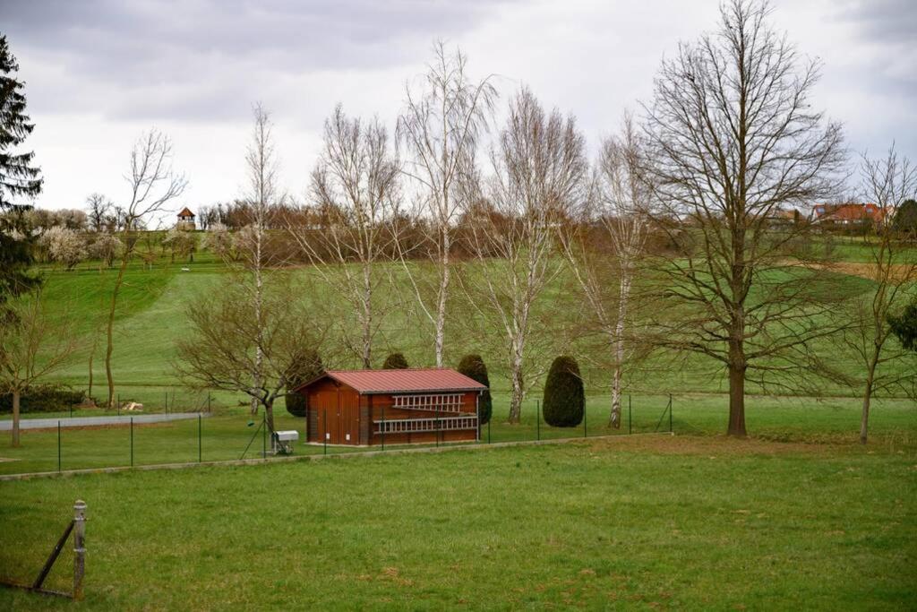 Charmante maison au coeur de l'alsace - Housity