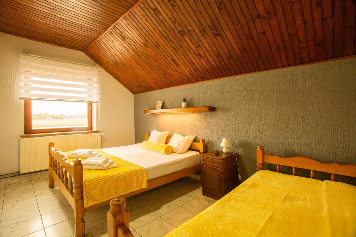 Guest House Vila Alexandar - Housity