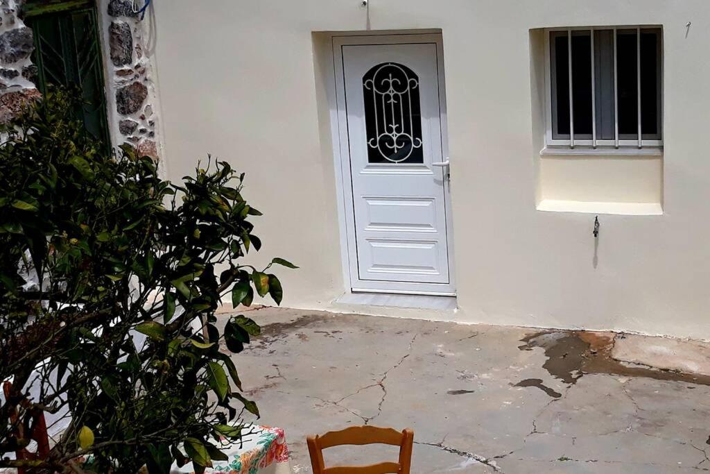 Orange garden - Housity