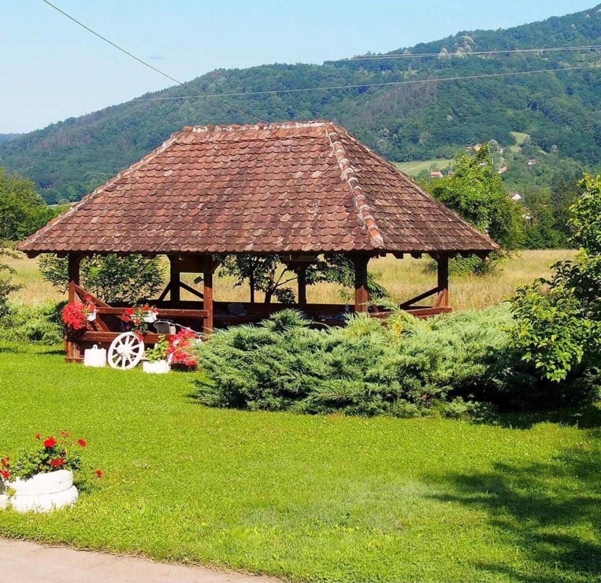 Apartment Aleksandra - Housity