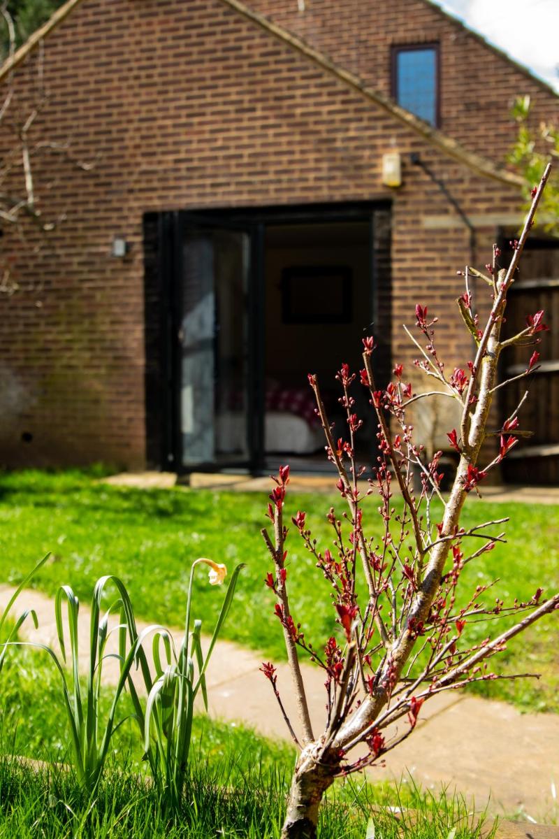 The Mills Guesthouse - Housity