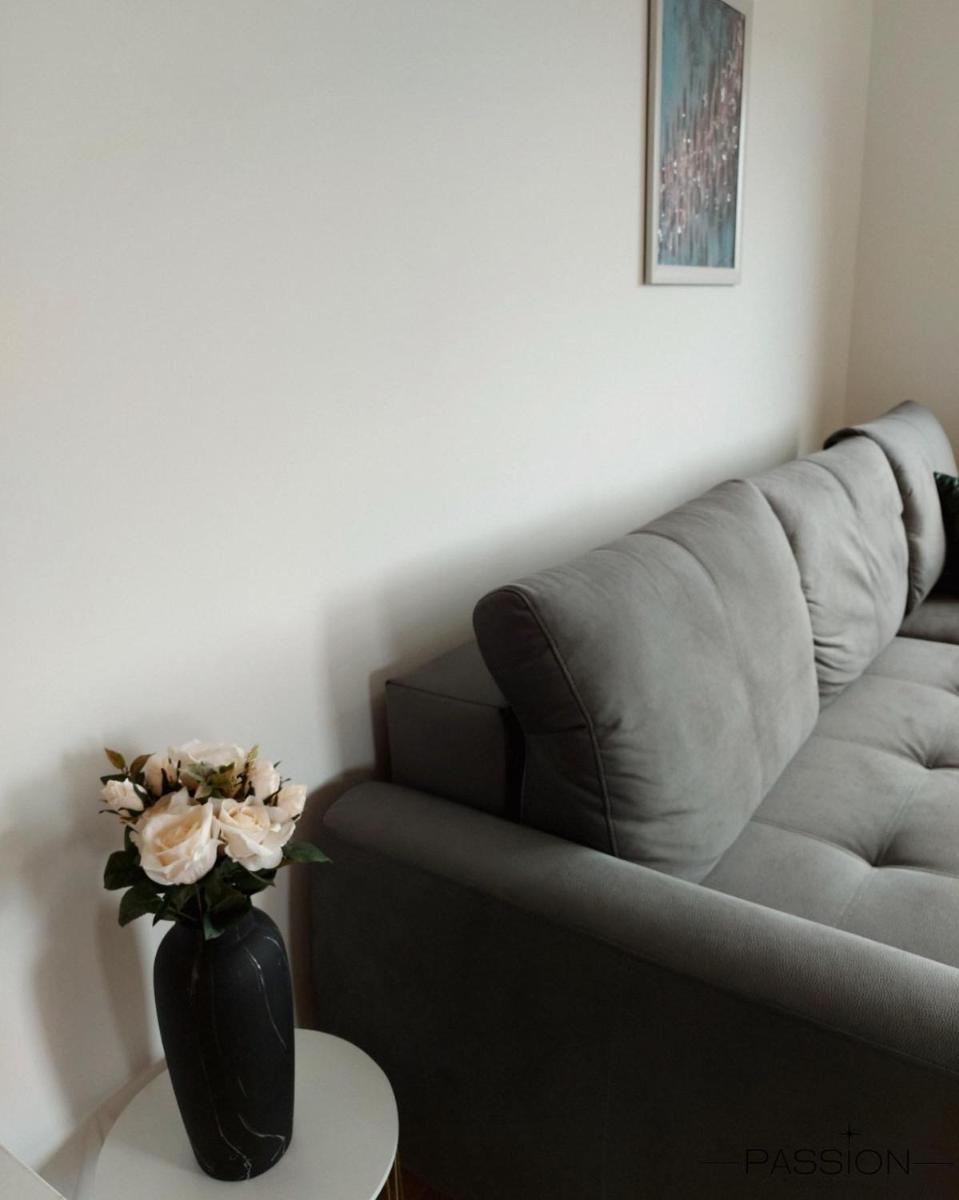 PASSION APARTMENT ZLATIBOR - Housity