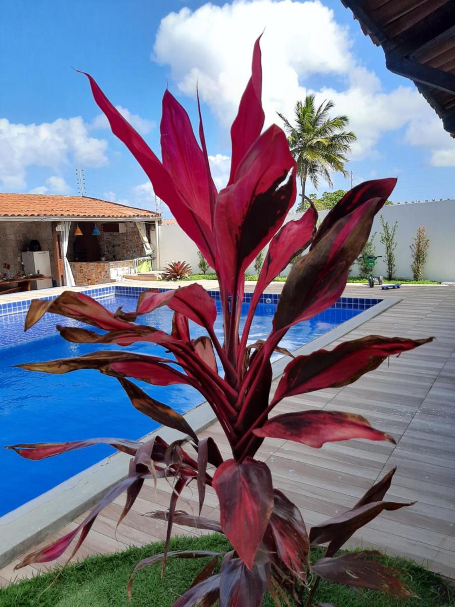 Casa em Jacumã com piscina e vista MAR - Housity