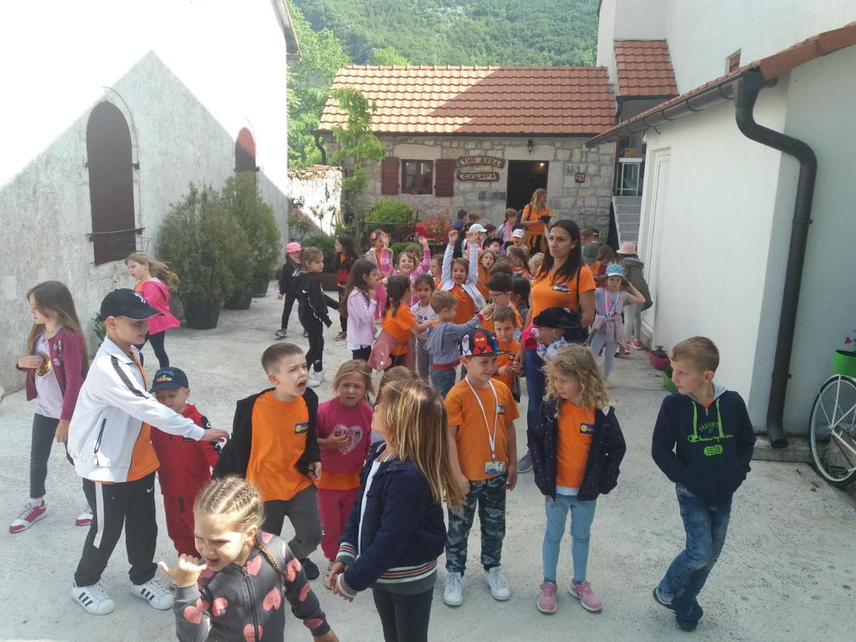BNB Njeguska sijela - Housity