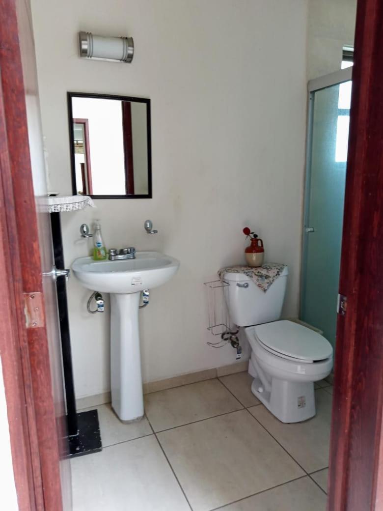 Suitetrails - The House of Plants, Complete Cozy House in Zacatecas City, Mexico