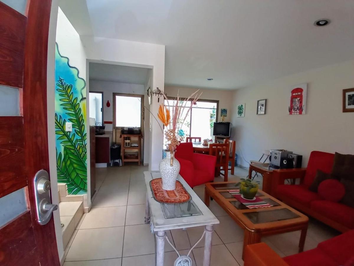 Suitetrails - The House of Plants, Complete Cozy House in Zacatecas City, Mexico